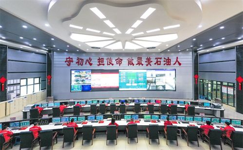 服务川渝一亿人，守护碧水安澜——全国实际处理量最大净化厂安全投产十周年纪实