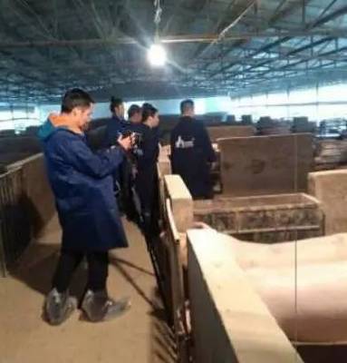 「新闻动态」‖主要看气质!莲都&ldquo;土豪猪&rdquo;登上央视!